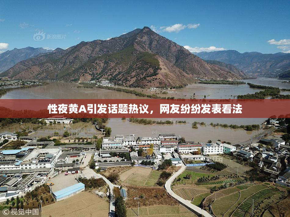 性夜黄A引发话题热议，网友纷纷发表看法