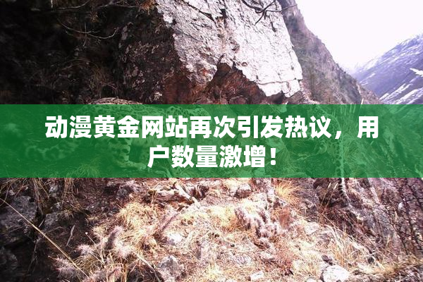 动漫黄金网站再次引发热议，用户数量激增！