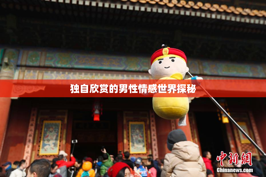 独自欣赏的男性情感世界探秘