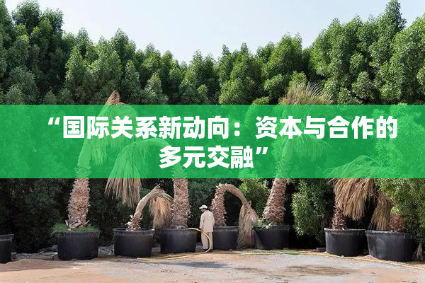“国际关系新动向：资本与合作的多元交融”