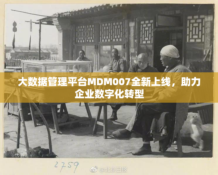 大数据管理平台MDM007全新上线，助力企业数字化转型