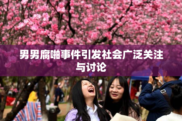 男男腐啪事件引发社会广泛关注与讨论