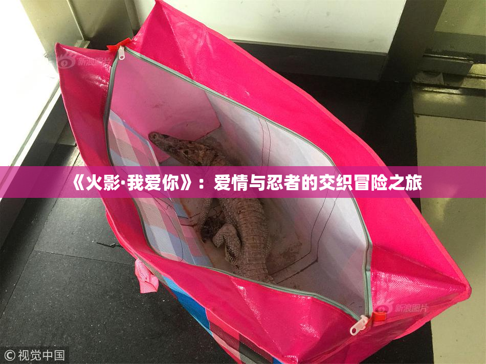 《火影·我爱你》：爱情与忍者的交织冒险之旅
