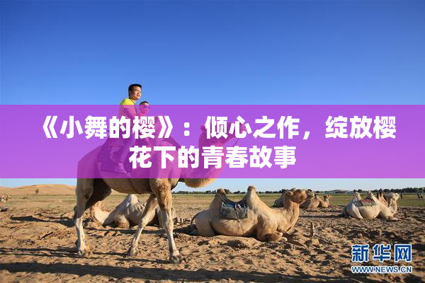 《小舞的樱》：倾心之作，绽放樱花下的青春故事