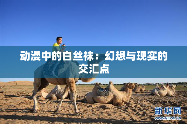 动漫中的白丝袜：幻想与现实的交汇点