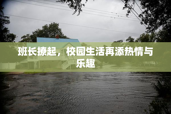 班长撩起，校园生活再添热情与乐趣