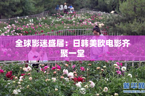 全球影迷盛届：日韩美欧电影齐聚一堂