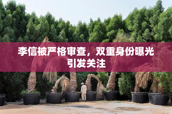 李信被严格审查，双重身份曝光引发关注