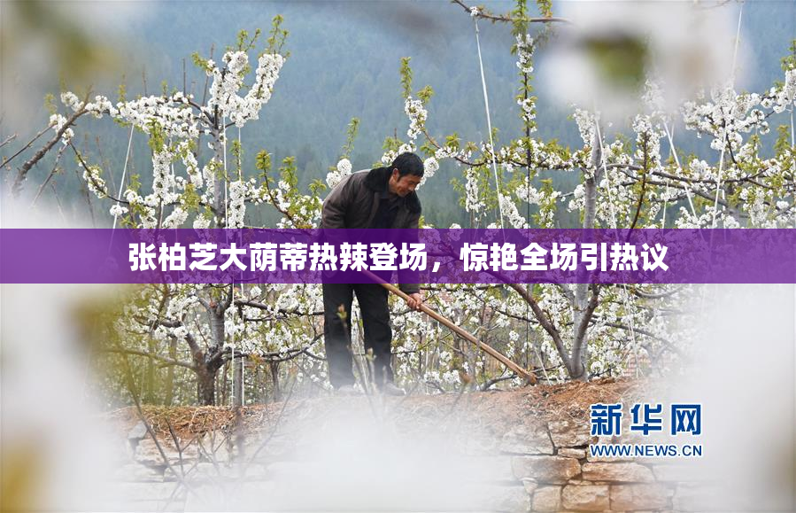 张柏芝大荫蒂热辣登场，惊艳全场引热议