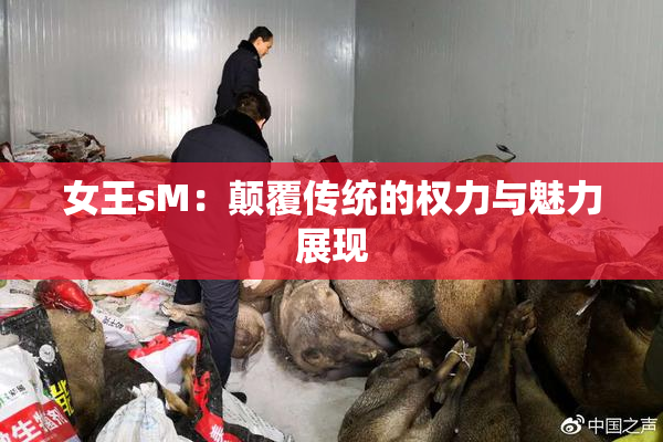女王sM：颠覆传统的权力与魅力展现