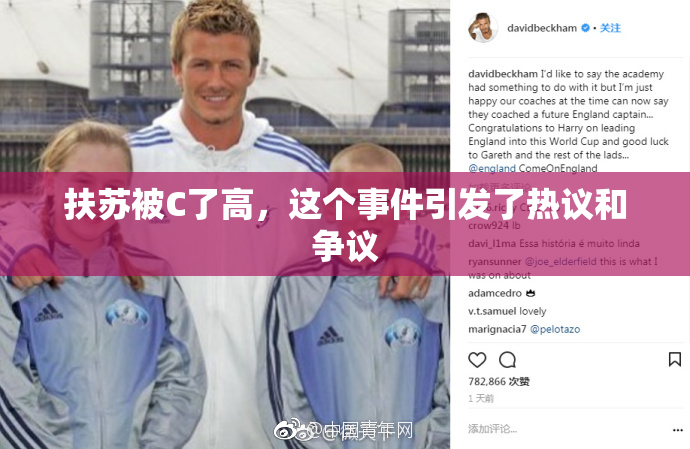 扶苏被C了高，这个事件引发了热议和争议