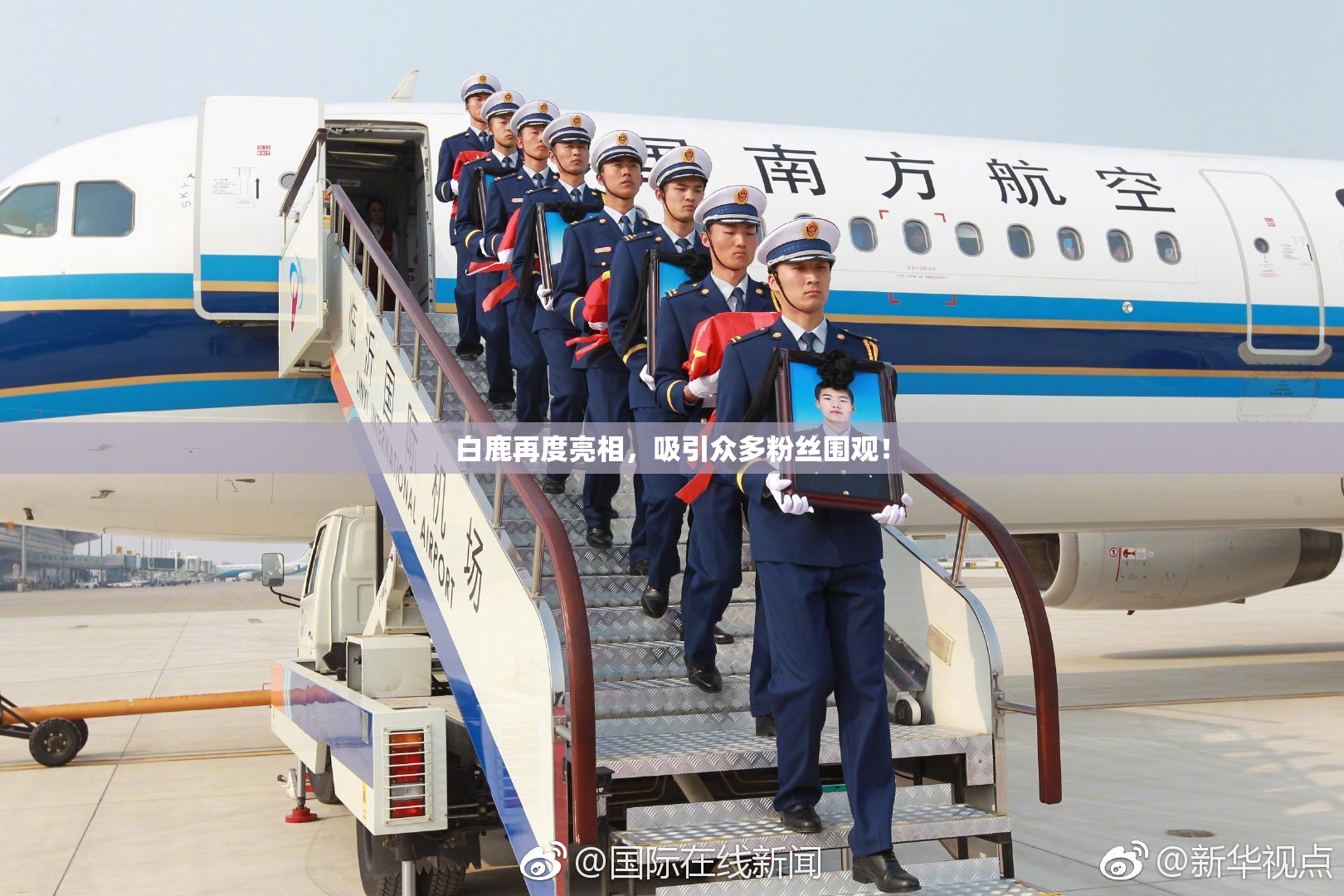 白鹿再度亮相，吸引众多粉丝围观！