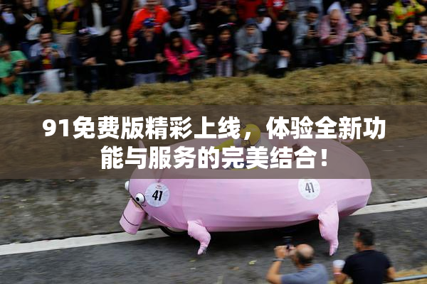 91免费版精彩上线，体验全新功能与服务的完美结合！