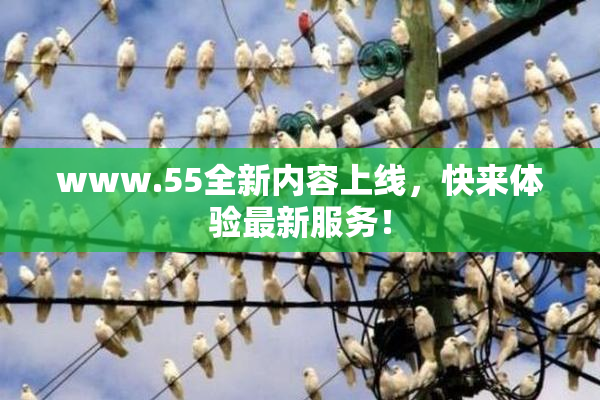 www.55全新内容上线，快来体验最新服务！