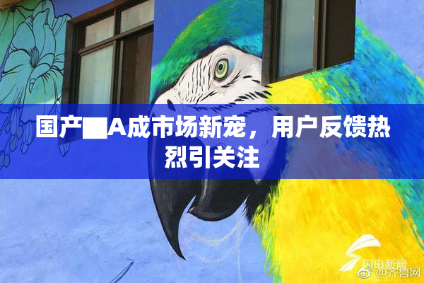 国产▇A成市场新宠，用户反馈热烈引关注