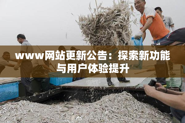 www网站更新公告：探索新功能与用户体验提升