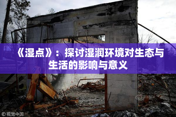 《湿点》：探讨湿润环境对生态与生活的影响与意义