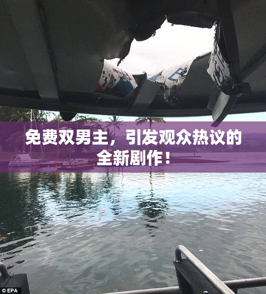 免费双男主，引发观众热议的全新剧作！