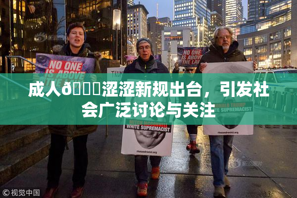 成人🔞涩涩新规出台，引发社会广泛讨论与关注