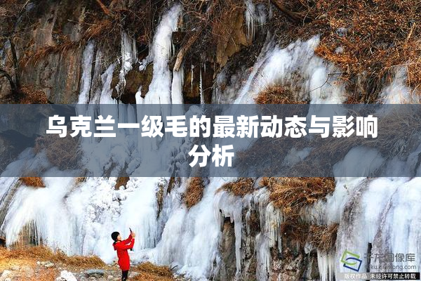 乌克兰一级毛的最新动态与影响分析