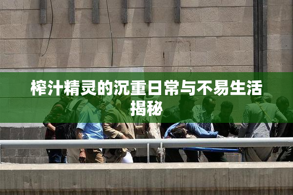 榨汁精灵的沉重日常与不易生活揭秘