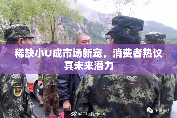 稀缺小U成市场新宠，消费者热议其未来潜力