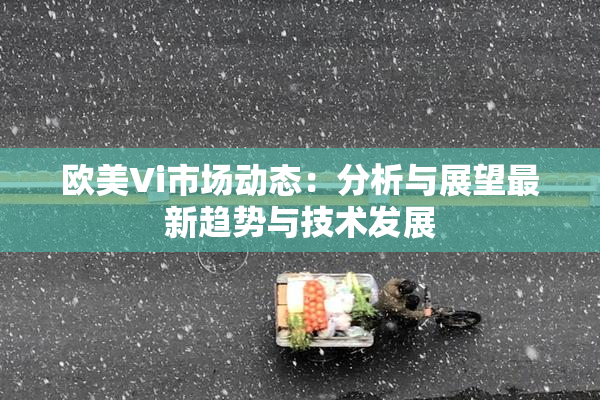 欧美Vi市场动态：分析与展望最新趋势与技术发展