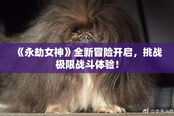 《永劫女神》全新冒险开启，挑战极限战斗体验！