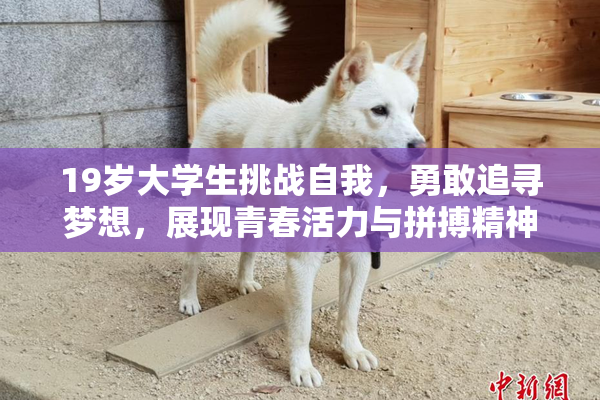 19岁大学生挑战自我，勇敢追寻梦想，展现青春活力与拼搏精神！