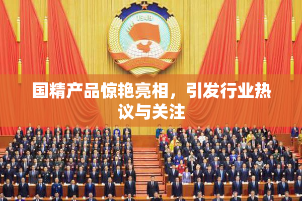 国精产品惊艳亮相，引发行业热议与关注