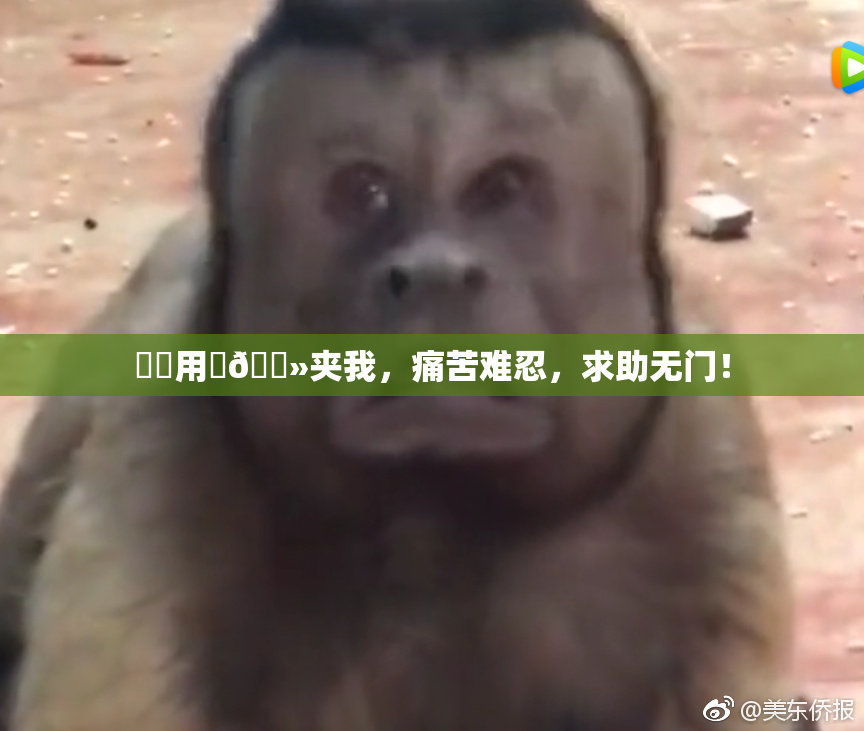 妺妺用‌🐻夹我，痛苦难忍，求助无门！