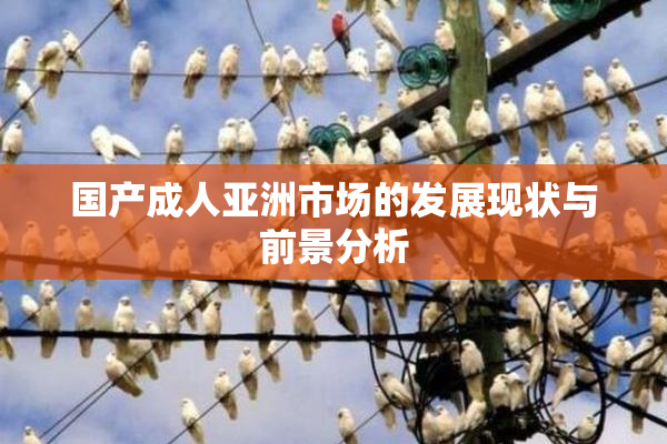 国产成人亚洲市场的发展现状与前景分析