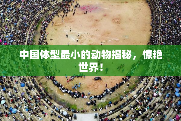 中国体型最小的动物揭秘，惊艳世界！