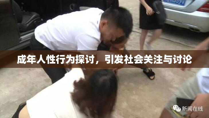 成年人性行为探讨，引发社会关注与讨论