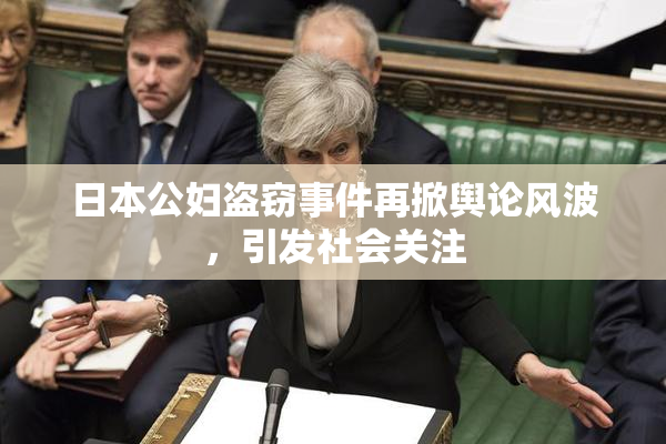 日本公妇盗窃事件再掀舆论风波，引发社会关注