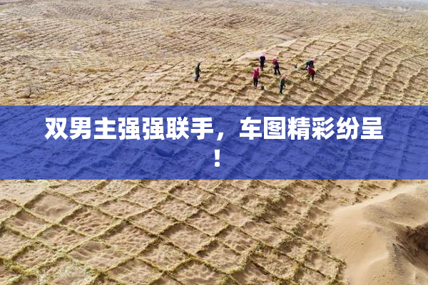 双男主强强联手，车图精彩纷呈！