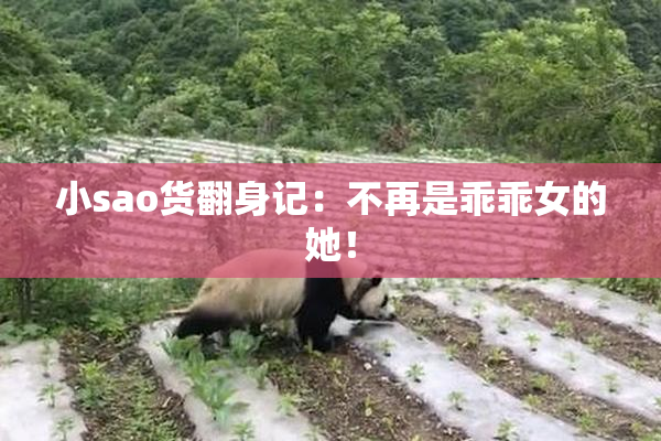 小sao货翻身记：不再是乖乖女的她！
