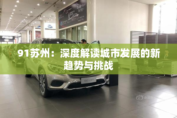 91苏州：深度解读城市发展的新趋势与挑战