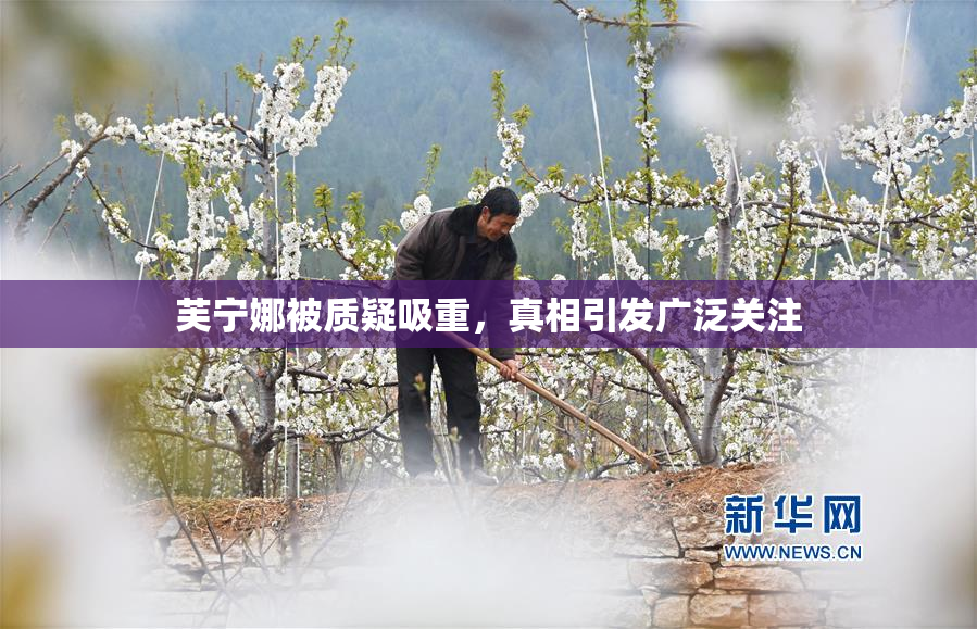 芙宁娜被质疑吸重，真相引发广泛关注