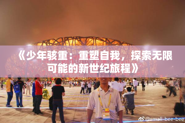 《少年骇重：重塑自我，探索无限可能的新世纪旅程》