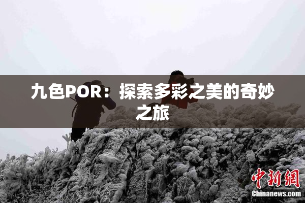 九色POR：探索多彩之美的奇妙之旅