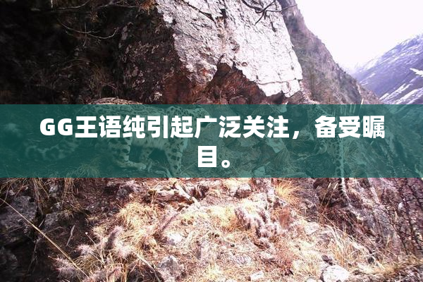 GG王语纯引起广泛关注，备受瞩目。