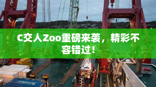 C交人Zoo重磅来袭，精彩不容错过！