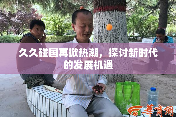 久久碰国再掀热潮，探讨新时代的发展机遇