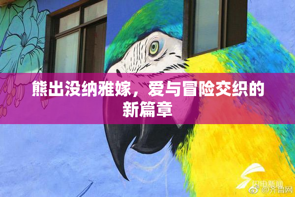 熊出没纳雅嫁，爱与冒险交织的新篇章