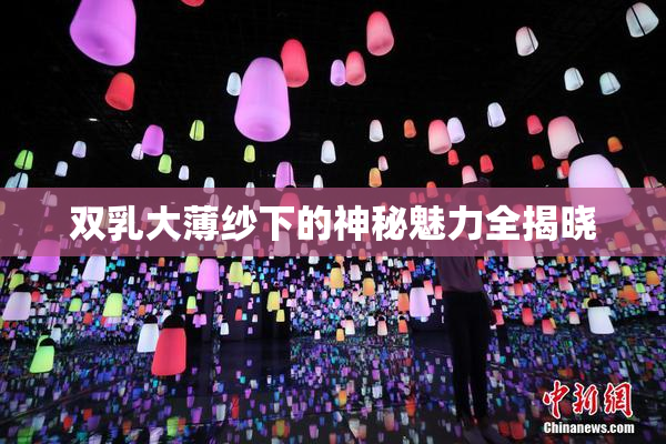 双乳大薄纱下的神秘魅力全揭晓