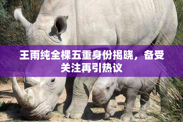 王雨纯全棵五重身份揭晓，备受关注再引热议