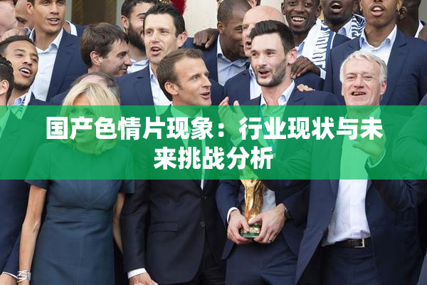 国产色情片现象：行业现状与未来挑战分析