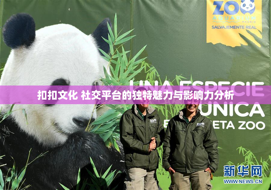 扣扣文化 社交平台的独特魅力与影响力分析