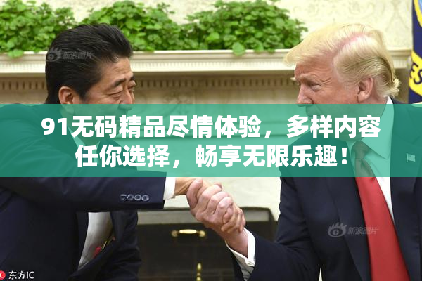 91无码精品尽情体验，多样内容任你选择，畅享无限乐趣！